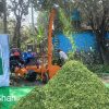জিরো সাইজ খড় ভূসি